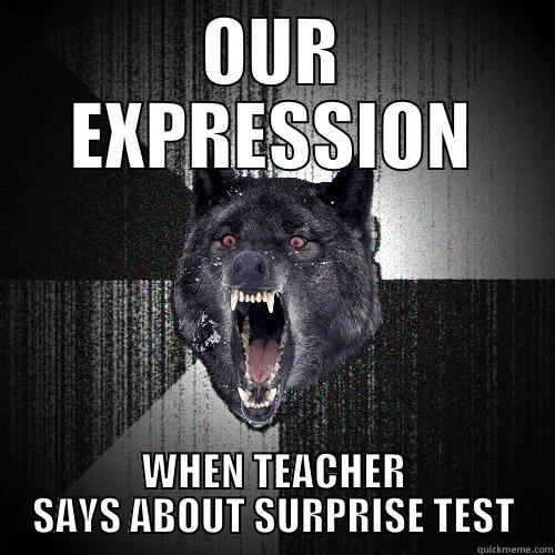 OUR EXPRESSION WHEN TEACHER SAYS ABOUT SURPRISE TEST Insanity Wolf