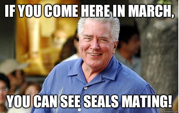 If you come here in march, You can see seals mating! - If you come here in march, You can see seals mating!  Huell Howser