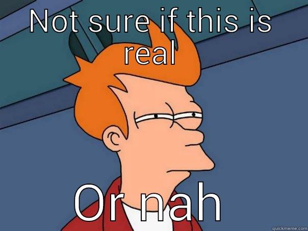 NOT SURE IF THIS IS REAL OR NAH Futurama Fry