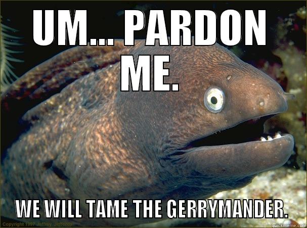 UM... PARDON ME. WE WILL TAME THE GERRYMANDER. Bad Joke Eel