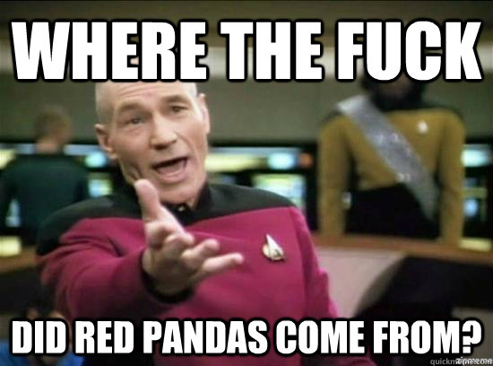 Where the fuck Did Red Pandas come from?  Annoyed Picard HD