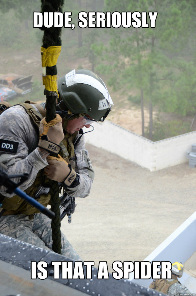 Dude, seriously is that a spider - Dude, seriously is that a spider  Arachnophobic Green Beret