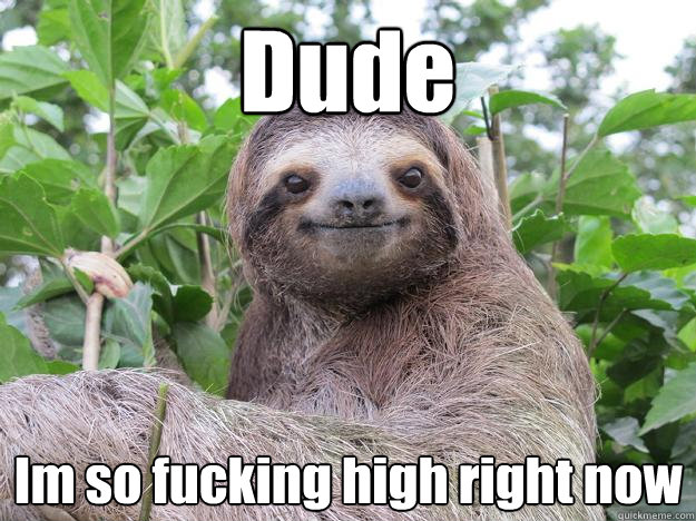 Dude Im so fucking high right now  Stoned Sloth