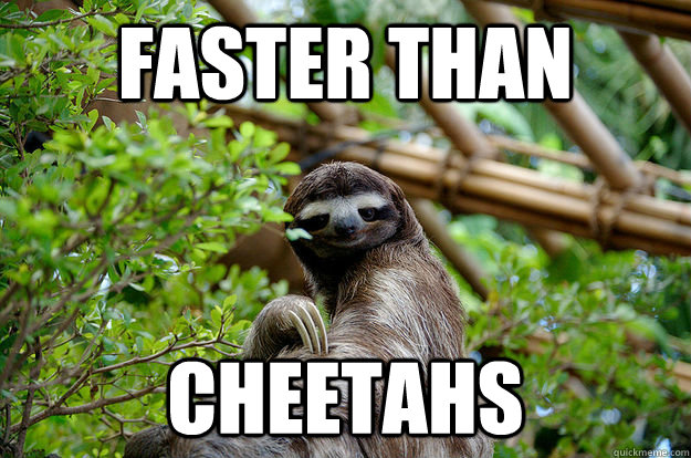 Faster than Cheetahs - Faster than Cheetahs  Fabulous Sloth