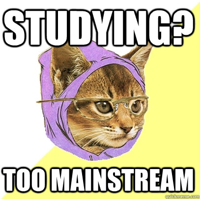 Studying? Too Mainstream   Hipster Kitty
