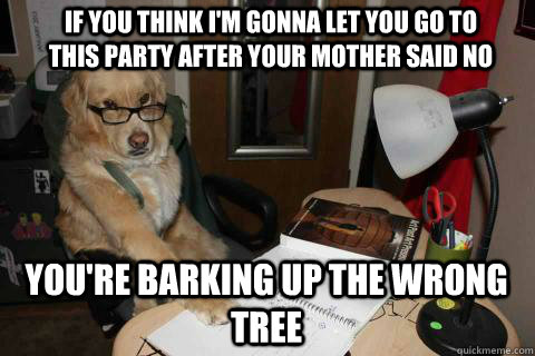 If you think I'm gonna let you go to this party after your mother said no you're barking up the wrong tree  Financial Advice Dog