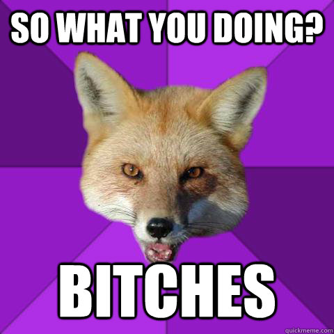 so what you doing? bitches  Forensics Fox
