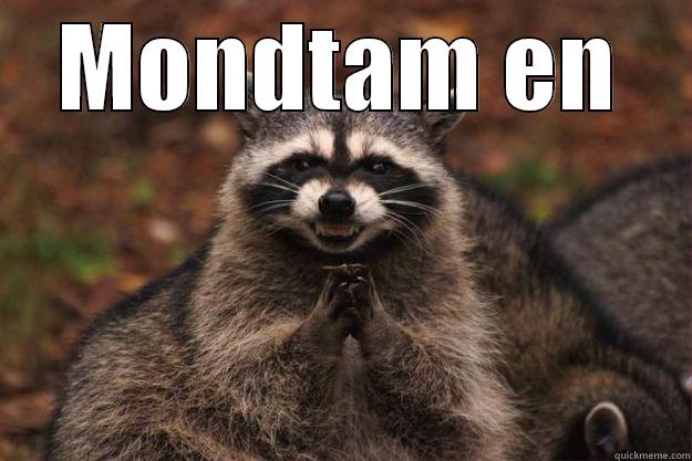 MONDTAM EN  Evil Plotting Raccoon