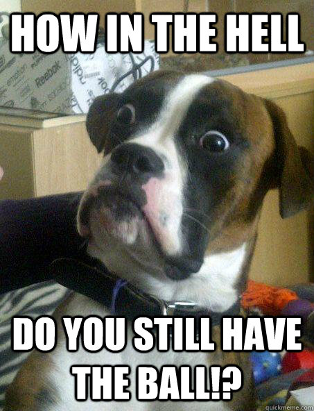 How In the hell  Do you still have the ball!?  Surprised Dog