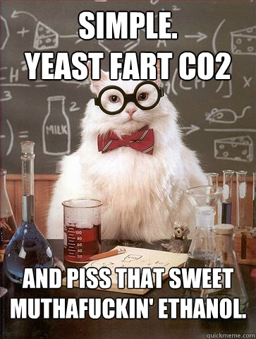 simple. 
yeast fart co2 and piss that sweet muthafuckin' ethanol.  Science Cat
