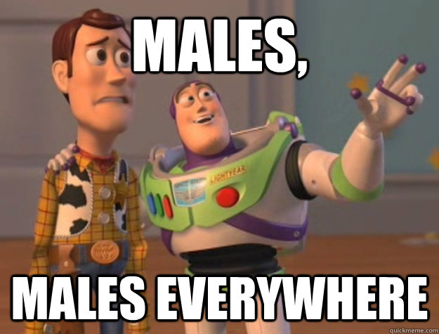Males, Males everywhere  Buzz Lightyear