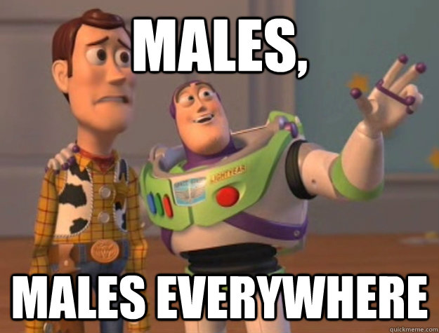 Males, Males everywhere - Males, Males everywhere  Buzz Lightyear