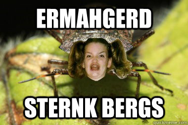 Ermahgerd Sternk bergs  Ermahgerd stink bugs