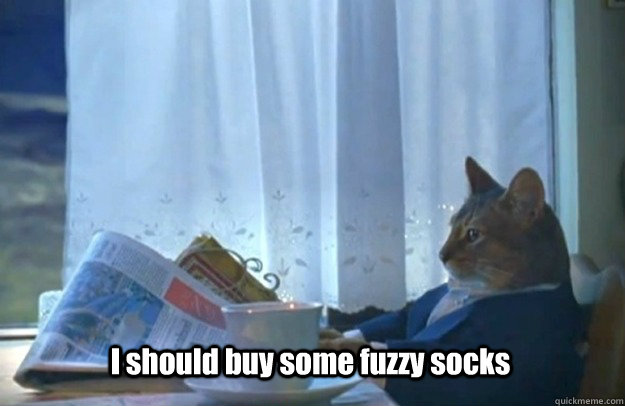 I should buy some fuzzy socks  Sophisticated Cat