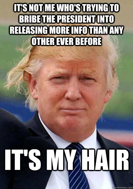 It's not me who's trying to bribe the President into releasing more info than any other ever before It's my hair   Donald Trump Feeney Swag Meme