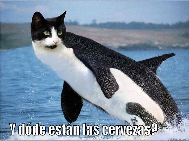  Y DÓDE ESTÁN LAS CERVEZAS?         Misc