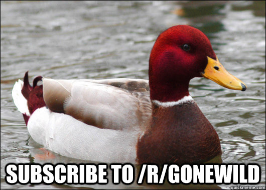 
 subscribe to /r/gonewild  Malicious Advice Mallard