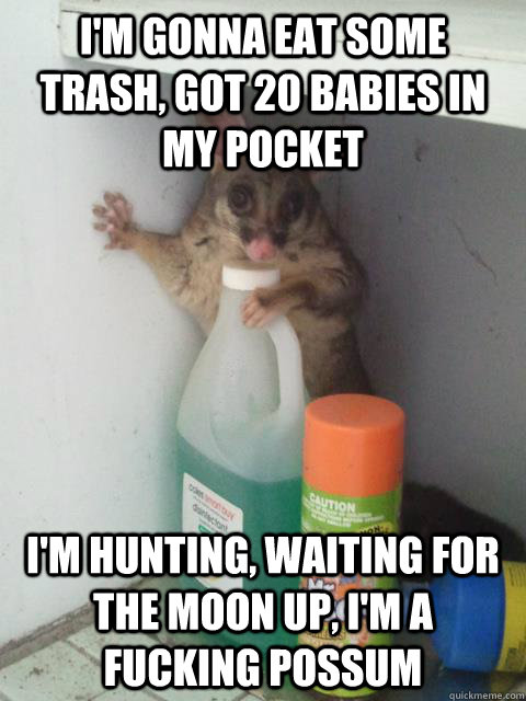 I'm gonna eat some trash, got 20 babies in my pocket I'm hunting, waiting for the moon up, I'm a fucking possum - I'm gonna eat some trash, got 20 babies in my pocket I'm hunting, waiting for the moon up, I'm a fucking possum  Awesome Possum