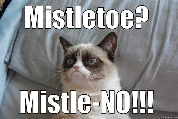 Mistletoe? Mistle-NO! - MISTLETOE? MISTLE-NO!!! Grumpy Cat