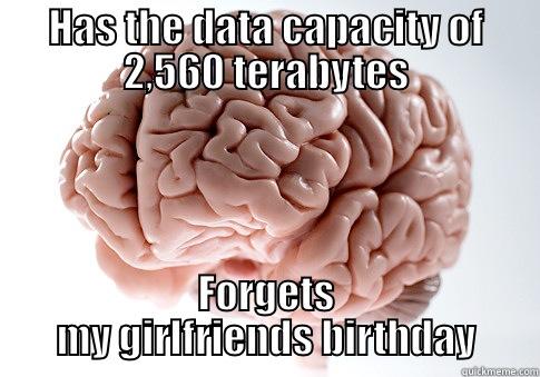 HAS THE DATA CAPACITY OF 2,560 TERABYTES FORGETS MY GIRLFRIENDS BIRTHDAY Scumbag Brain
