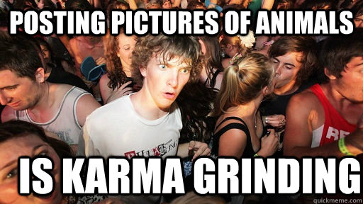 Posting pictures of animals Is karma grinding  Sudden Clarity Clarence