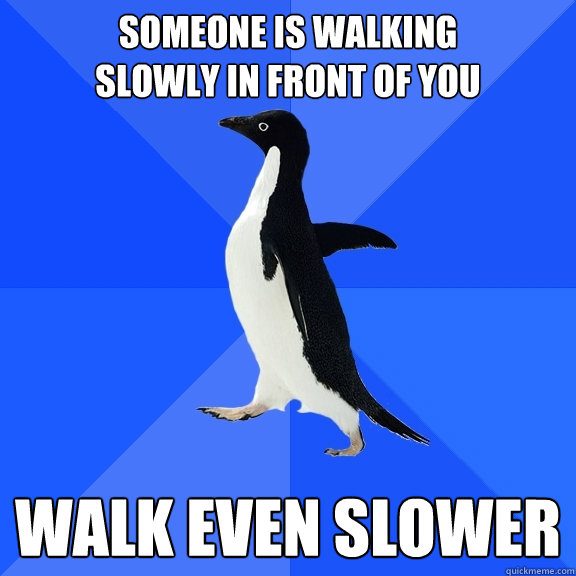 Someone is walking
slowly in front of you WALK EVEN SLOWER  Socially Awkward Penguin