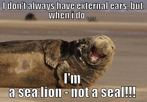 I DON'T ALWAYS HAVE EXTERNAL EARS, BUT WHEN I DO . . .  I'M A SEA LION - NOT A SEAL!!! Sea Lion Brian