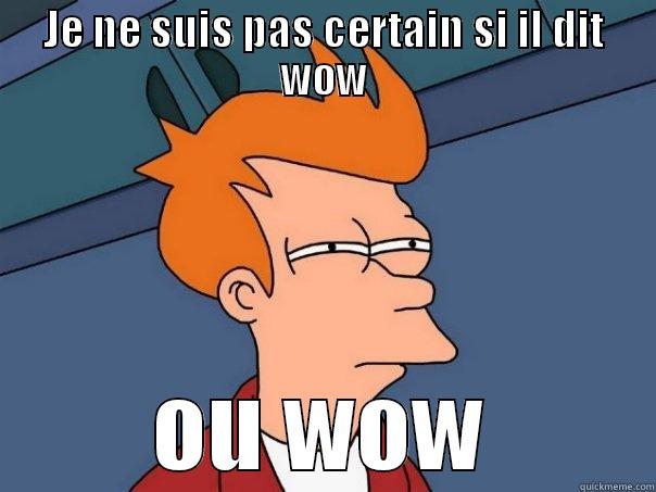 JE NE SUIS PAS CERTAIN SI IL DIT WOW OU WOW Futurama Fry