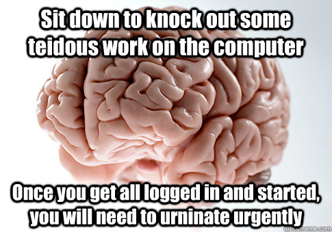 Sit down to knock out some teidous work on the computer  Once you get all logged in and started, you will need to urninate urgently   Scumbag Brain