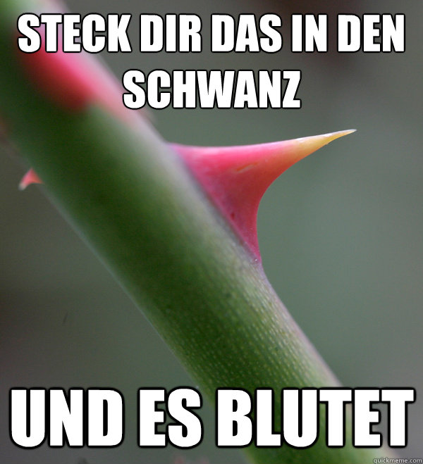 steck dir das in den schwanz und es blutet  Self Important Prick