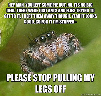 Hey man, you left some pie out. No, its no big deal, there were just ants and flies trying to get to it, I kept them away though. Yeah it looks good, go for it I'm stuffed-- please stop pulling my legs off  Misunderstood Spider