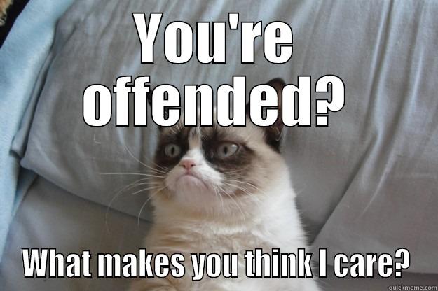 YOU'RE OFFENDED? WHAT MAKES YOU THINK I CARE? Grumpy Cat