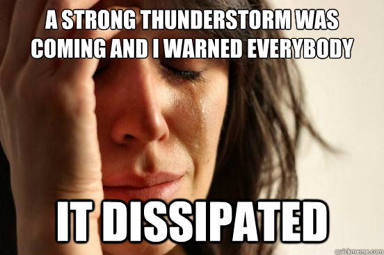 A strong thunderstorm was coming and i warned everybody It dissipated   First World Problems