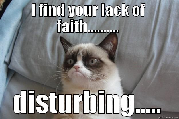 I FIND YOUR LACK OF FAITH.......... DISTURBING..... Grumpy Cat