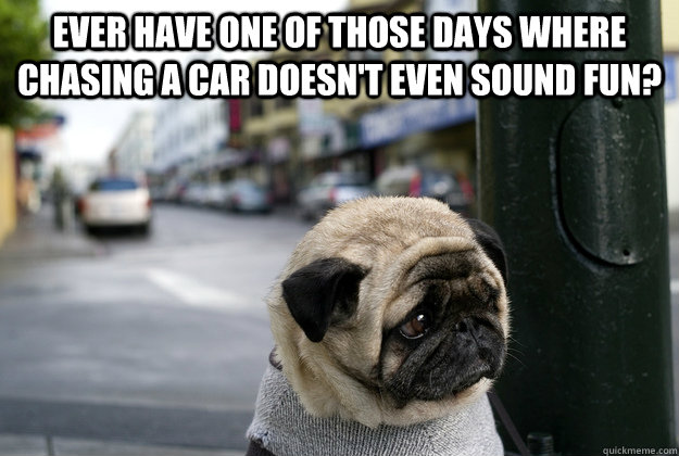 Ever have one of those days where chasing a car doesn't even sound fun? - Ever have one of those days where chasing a car doesn't even sound fun?  Misc