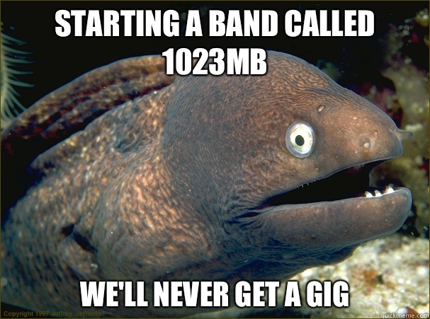 Starting a band called 1023mb We'll never get a gig  - Starting a band called 1023mb We'll never get a gig   Bad Joke Eel