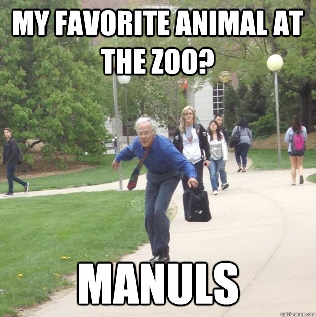 My favorite animal at the zoo?  Manuls  Skateboarding Professor