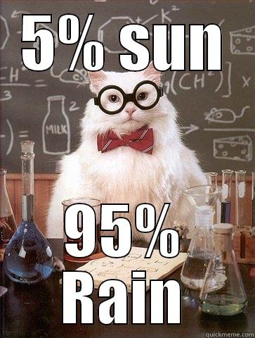 5% SUN 95% RAIN Chemistry Cat
