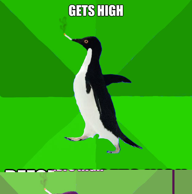 gets high before he gets high  Stoner Penguin
