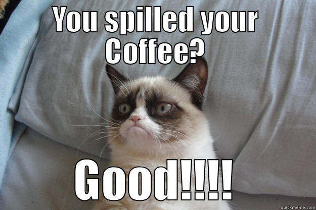 Coffee Spill = Good - YOU SPILLED YOUR COFFEE? GOOD!!!! Grumpy Cat