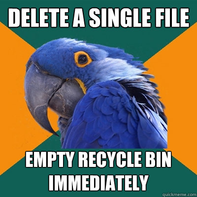 delete a single file empty recycle bin immediately  Paranoid Parrot