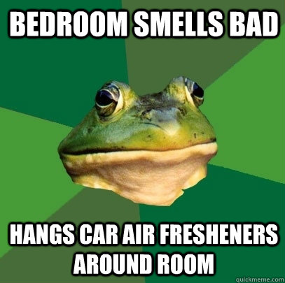 Bedroom smells bad hangs car air fresheners around room  Foul Bachelor Frog