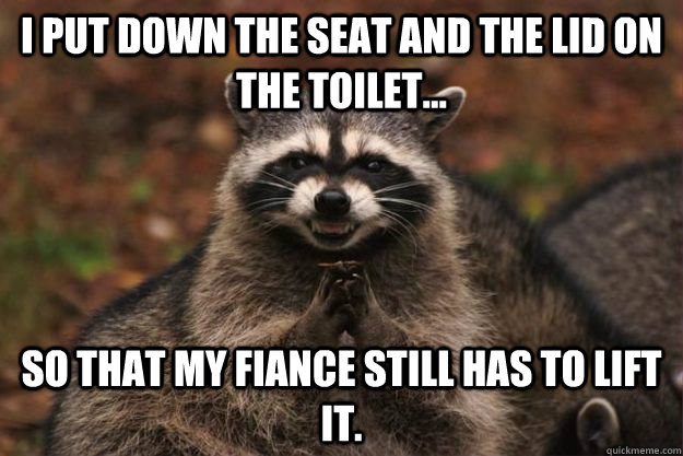 I put down the seat and the lid on the toilet... so that my fiance still has to lift it.  Evil Plotting Raccoon