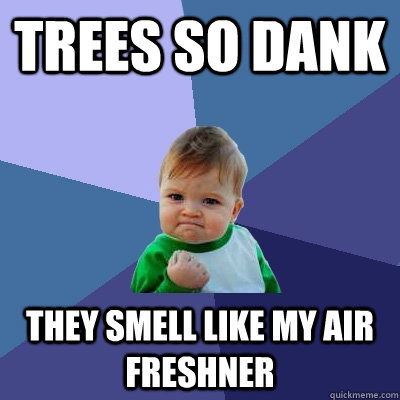 Trees so dank They smell like my air freshner  Success Kid
