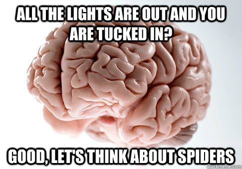 All the lights are out and you are tucked in? Good, let's think about spiders  ScumbagBrain