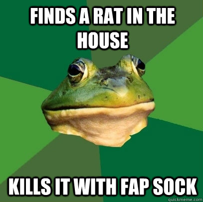 Finds a rat in the house Kills it with fap sock  Foul Bachelor Frog