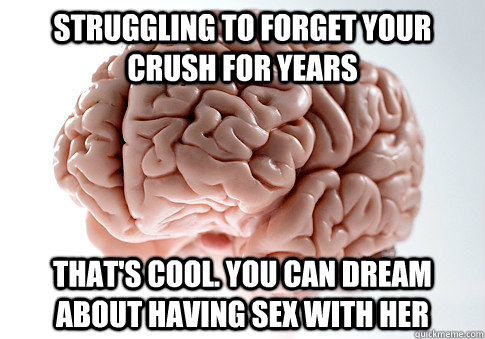 struggling to forget your crush for years That's cool. you can dream about having sex with her  Scumbag Brain