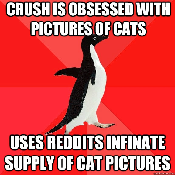 Crush is obsessed with pictures of cats uses reddits infinate supply of cat pictures - Crush is obsessed with pictures of cats uses reddits infinate supply of cat pictures  Socially Awesome Penguin