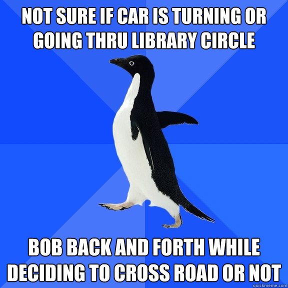Not sure if car is turning or going thru Library Circle bob back and forth while deciding to cross road or not  Socially Awkward Penguin