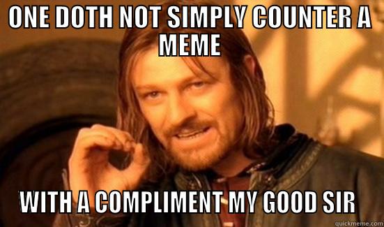 ONE DOTH NOT SIMPLY COUNTER A MEME WITH A COMPLIMENT MY GOOD SIR  Boromir